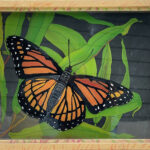 Reverse Glass Paintings